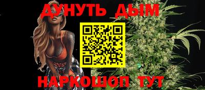 СК Гатчина