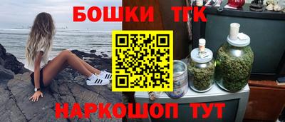 СК Гатчина