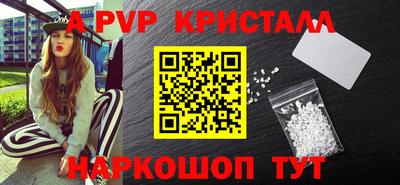 СК Гатчина