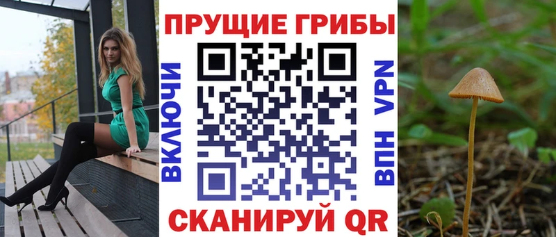 Галлюциногенные грибы GOLDEN TEACHER  Екатеринбург 
