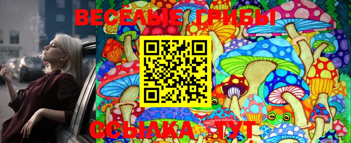 Галлюциногенные грибы Magic Shrooms Россия