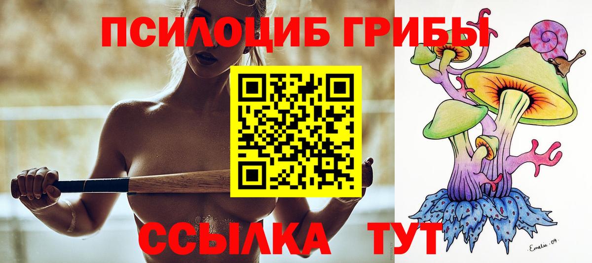 Россия  Галлюциногенные грибы прущие грибы  Вход с VPN  Псилоцибиновые грибы прущие грибы 