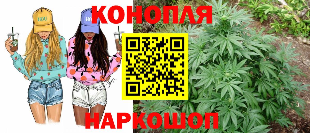 Бошки марихуана план Россия